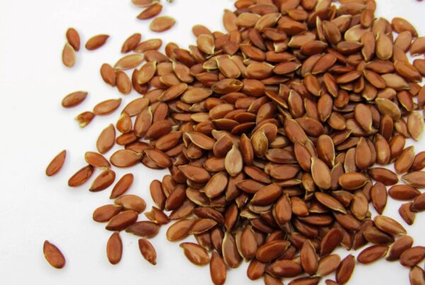 Flax Seeds